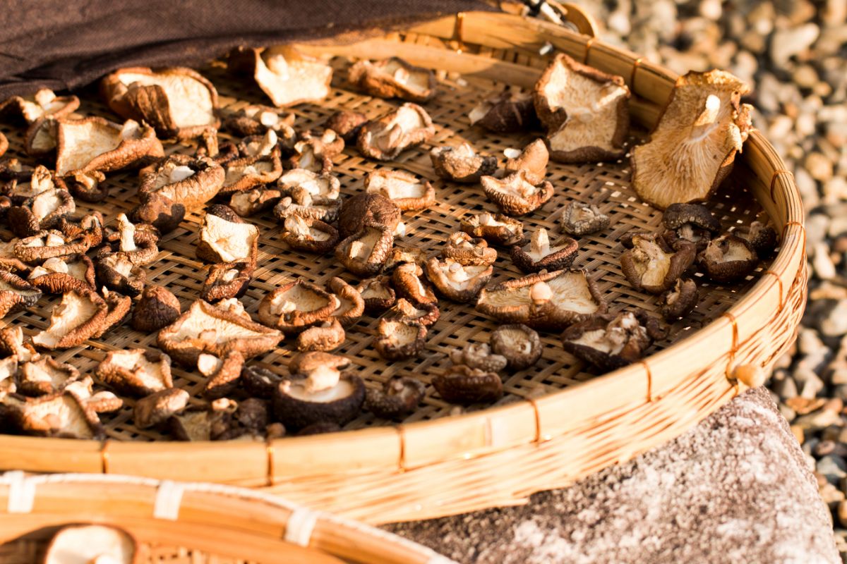 How To Make Healthy Dried Shiitake Mushrooms