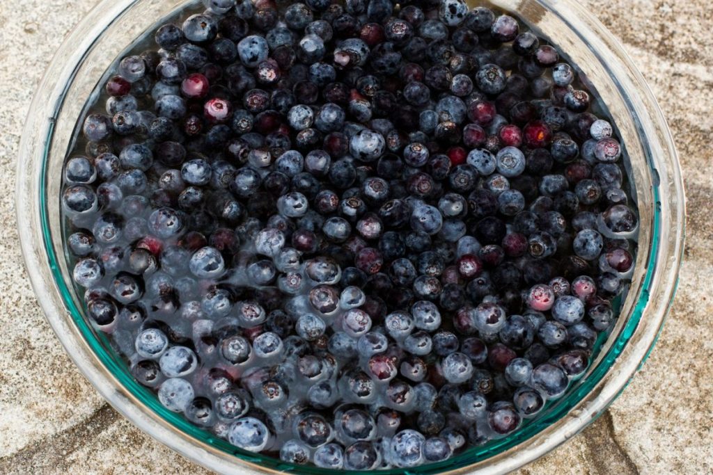How To Rehydrate Dried Blueberries In Hot Or Cold Water