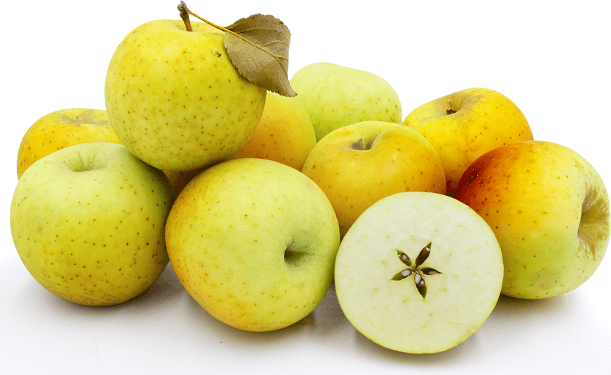 What Are the Best Apples to Dehydrate at Home 20 Varieties