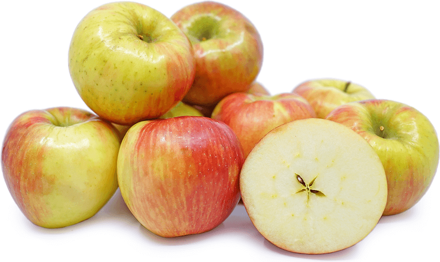 What Are the Best Apples to Dehydrate at Home 20 Varieties