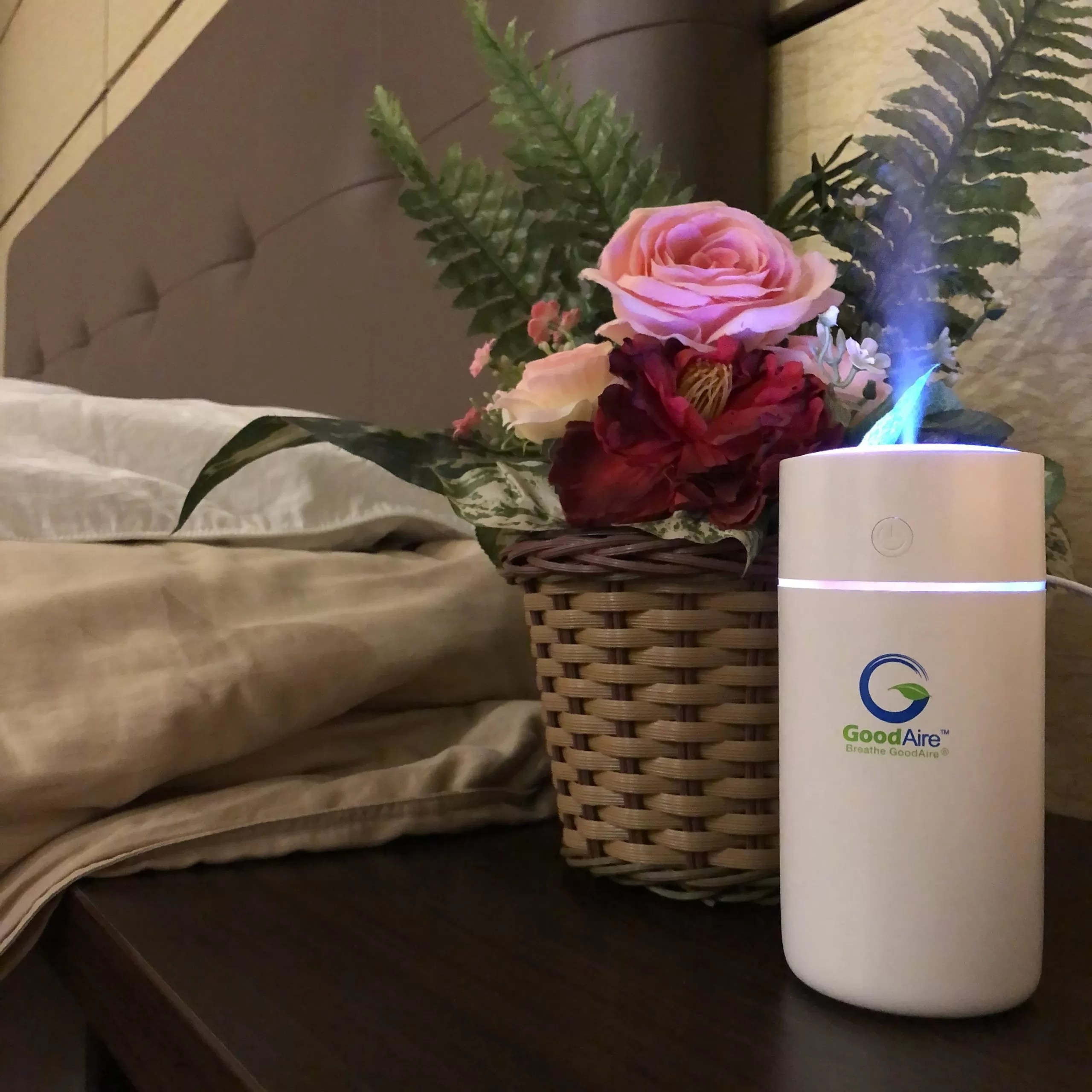 De Hygienique Humidifier Diffuser GoodAire