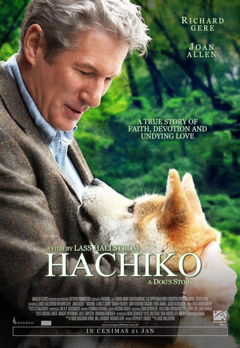 Filme für dich und deinen Hund Deine Tiere Hunde