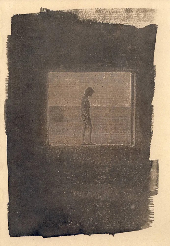 cyanotype © deinitio photography