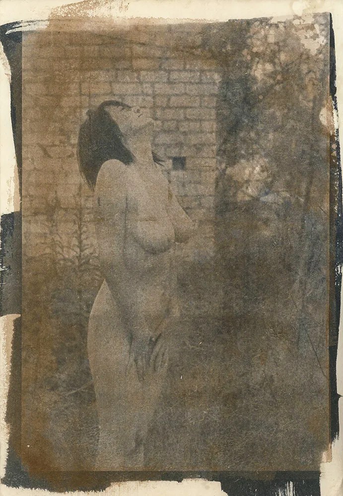 cyanotype © deinitio photography