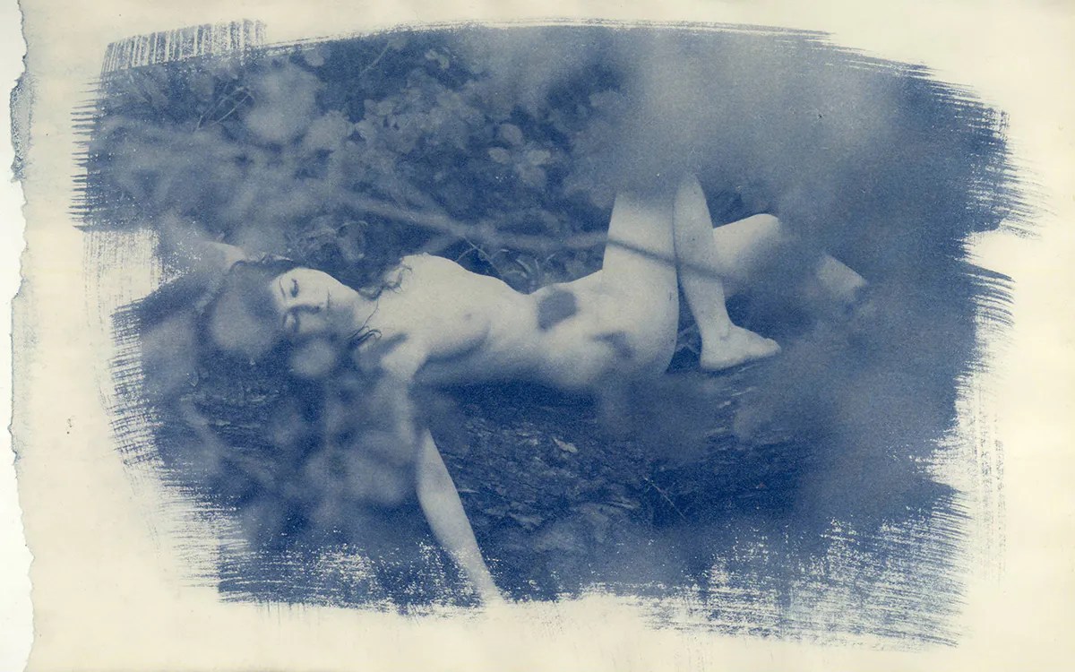 cyanotype © deinitio photography