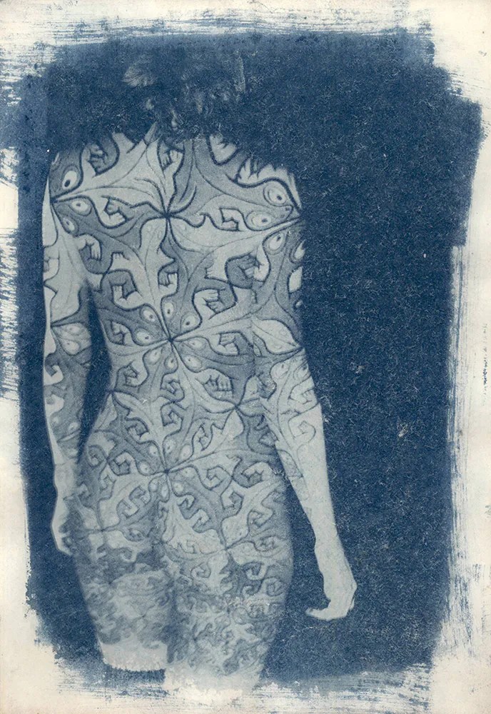 cyanotype © deinitio photography