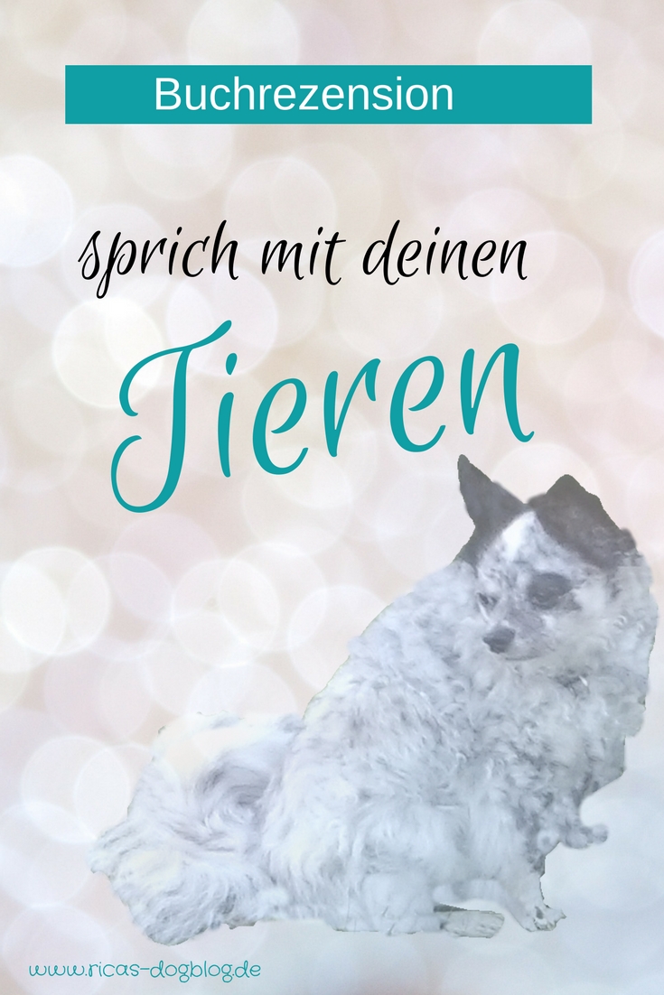 Buchrezension Sprich mit deinen Tieren von Beate Seebauer Dein Weg