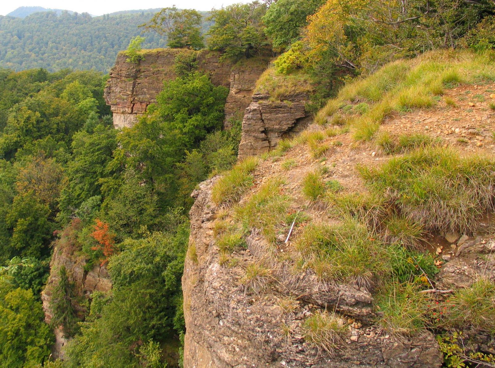 Wandern Süntel Die Naturfreunde laden zu einer Wanderung durch den Süntel ein