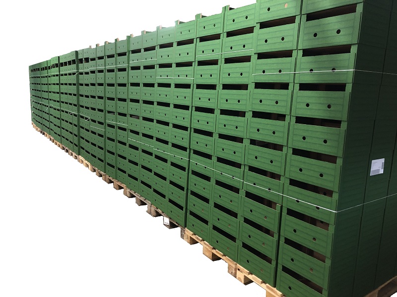 Sturdy cardboard boxes