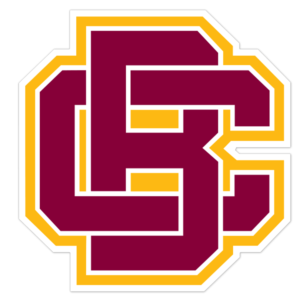 BethuneCookman Wildcats NCAA Logo Sticker