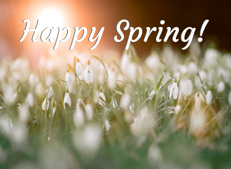 first day if spring 2023 First Day Of Spring 2020 / Greet The New Season With Our Spring Quotes