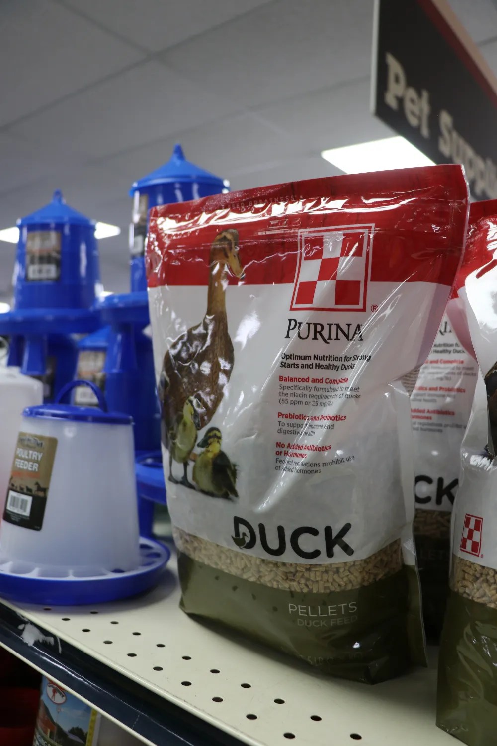 Poultry Feed & Supplies Dekalb Farmers Coop