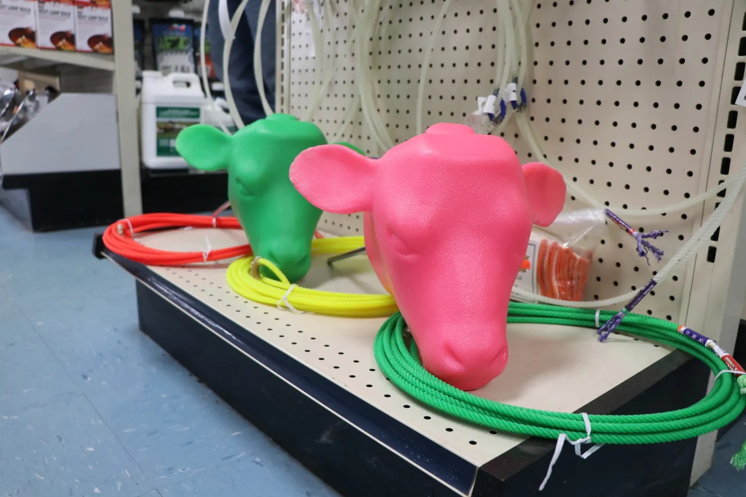 Equine Feed & Supplies Dekalb Farmers Coop