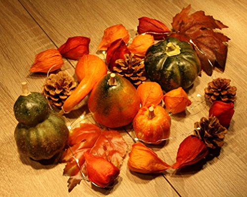 Deko Set Herbst Nr.1 / 1x Deko Kürbis Kunststoff Säckchen Kiefernzapfen