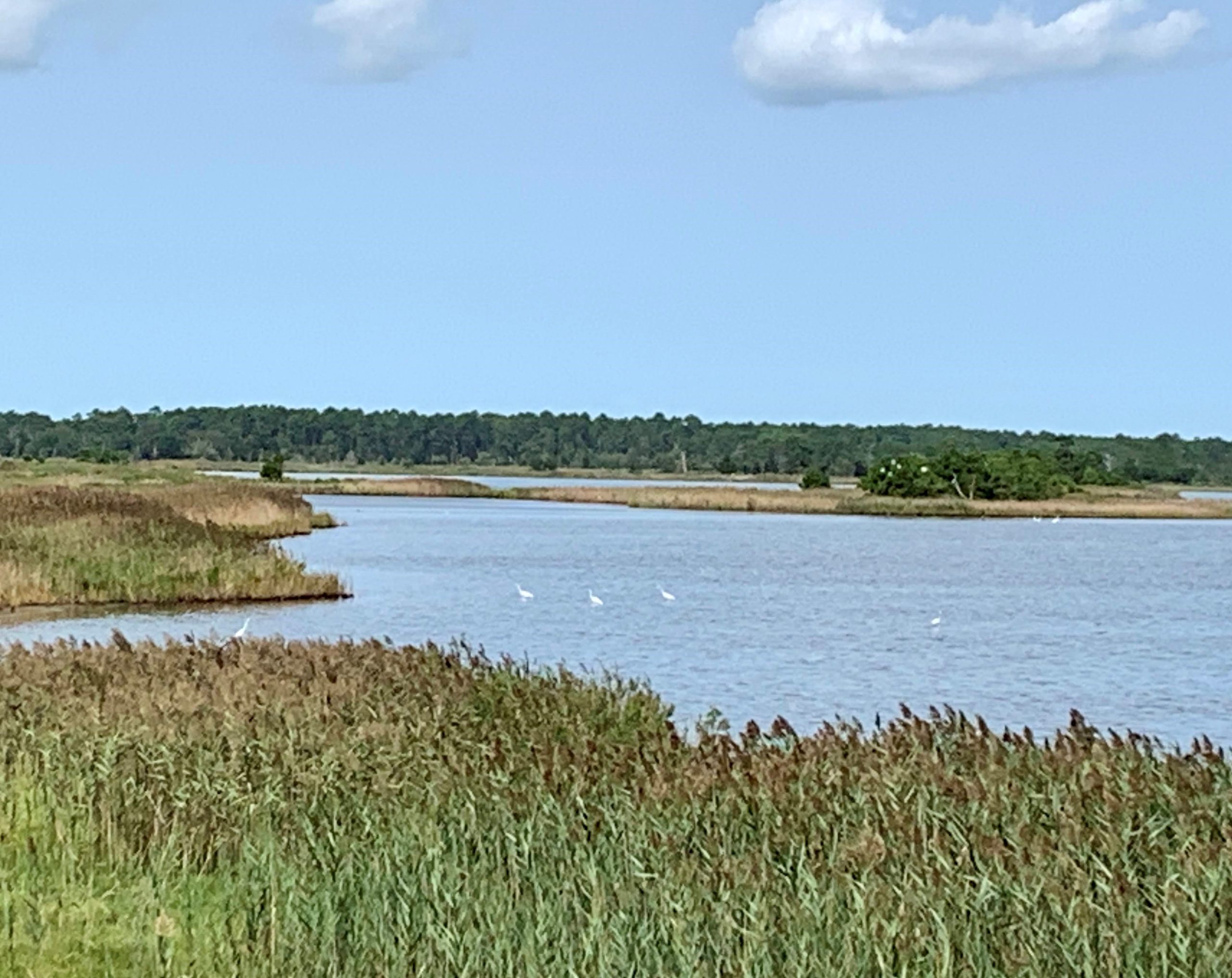 Gordons Pond Trail Delaware Greenways