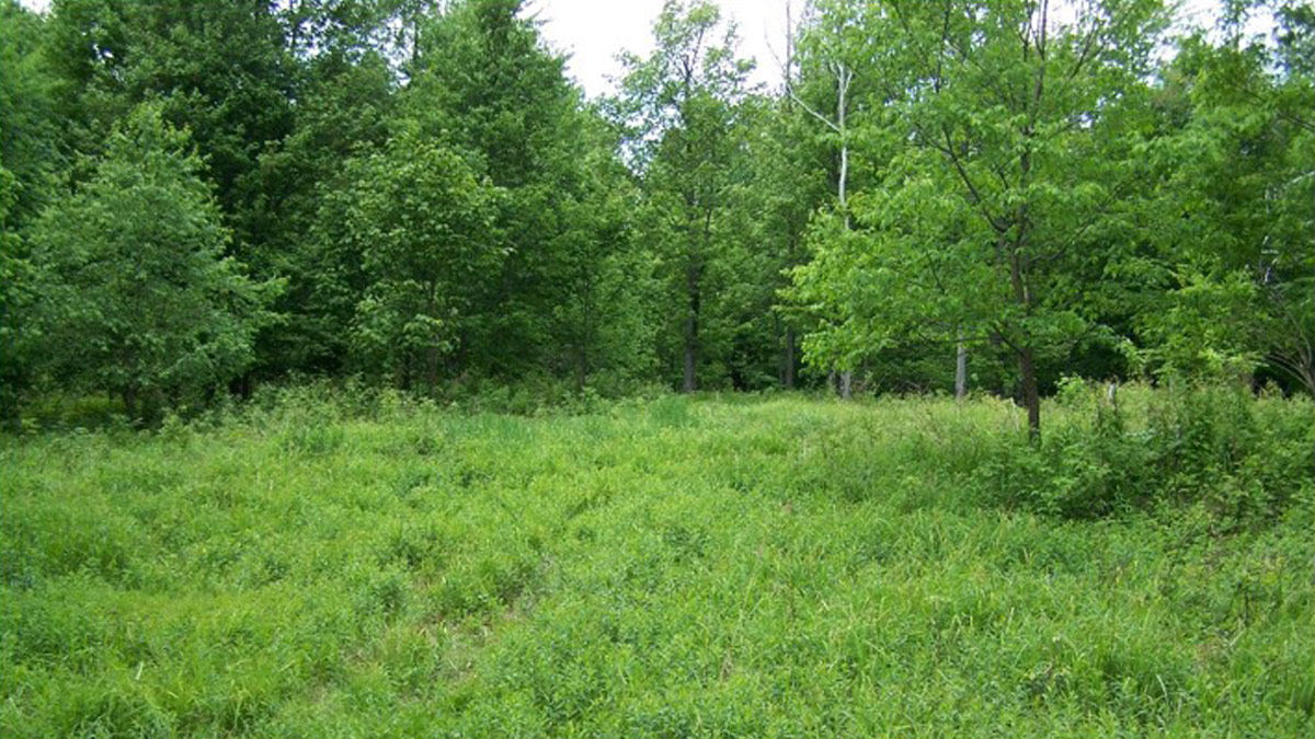 Coxton Lake Protected by Local Landowners Delaware Highlands Conservancy