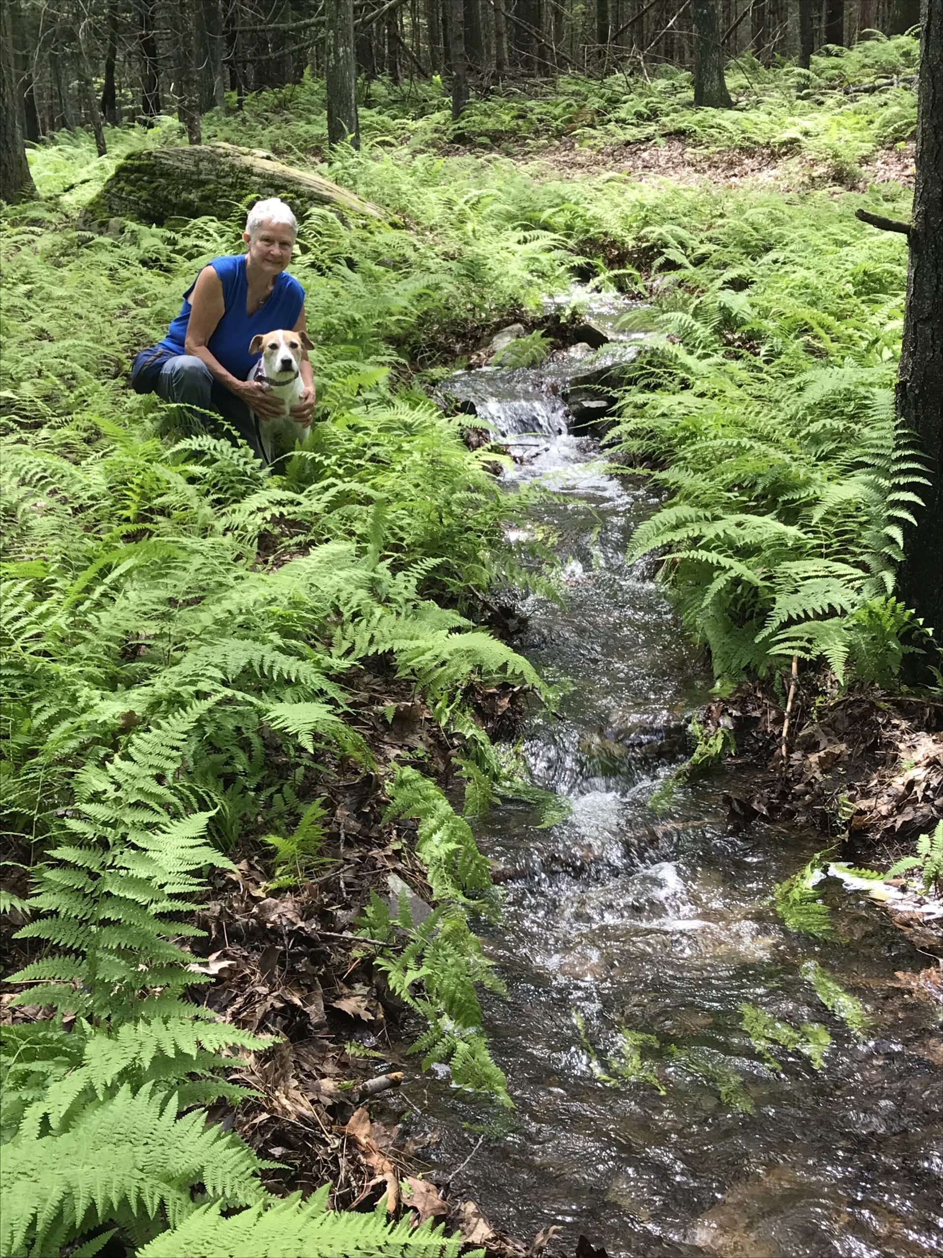 Sullivan County, NY Property Permanently Protected Delaware Highlands