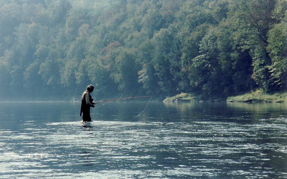 delaware river club hatch chart Robbie Baron
