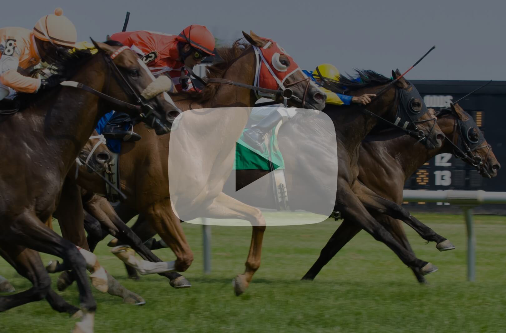 Racing Delaware Park