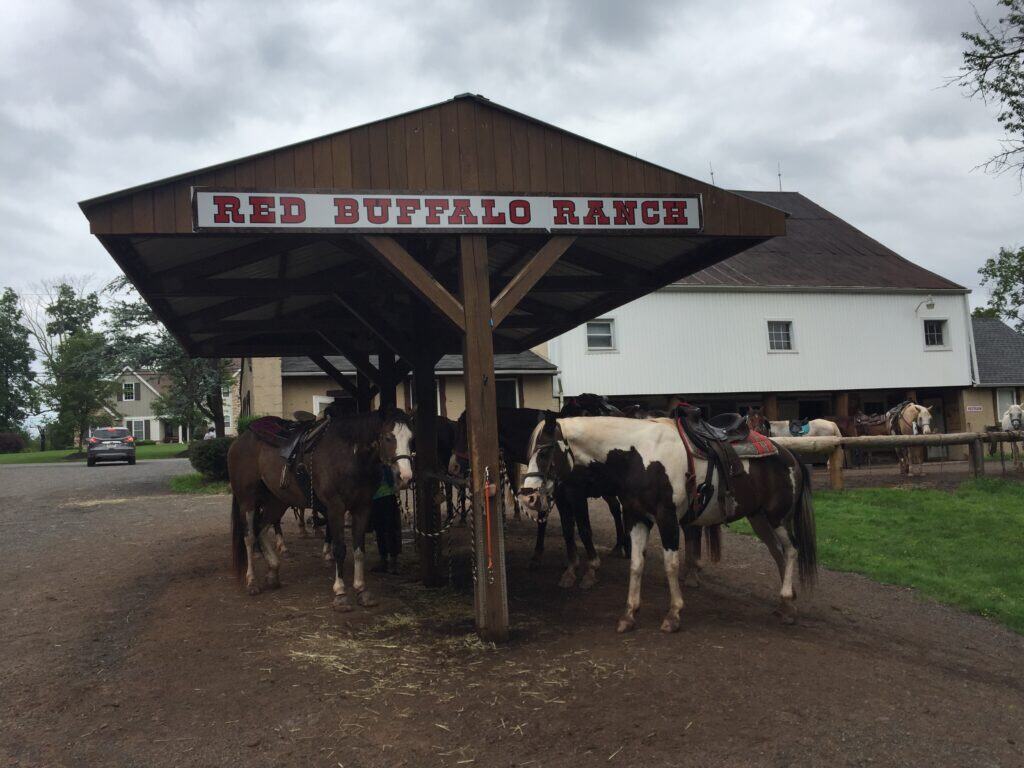 Riding Stable Offers Second Career for Former Montco D.A. DV Journal