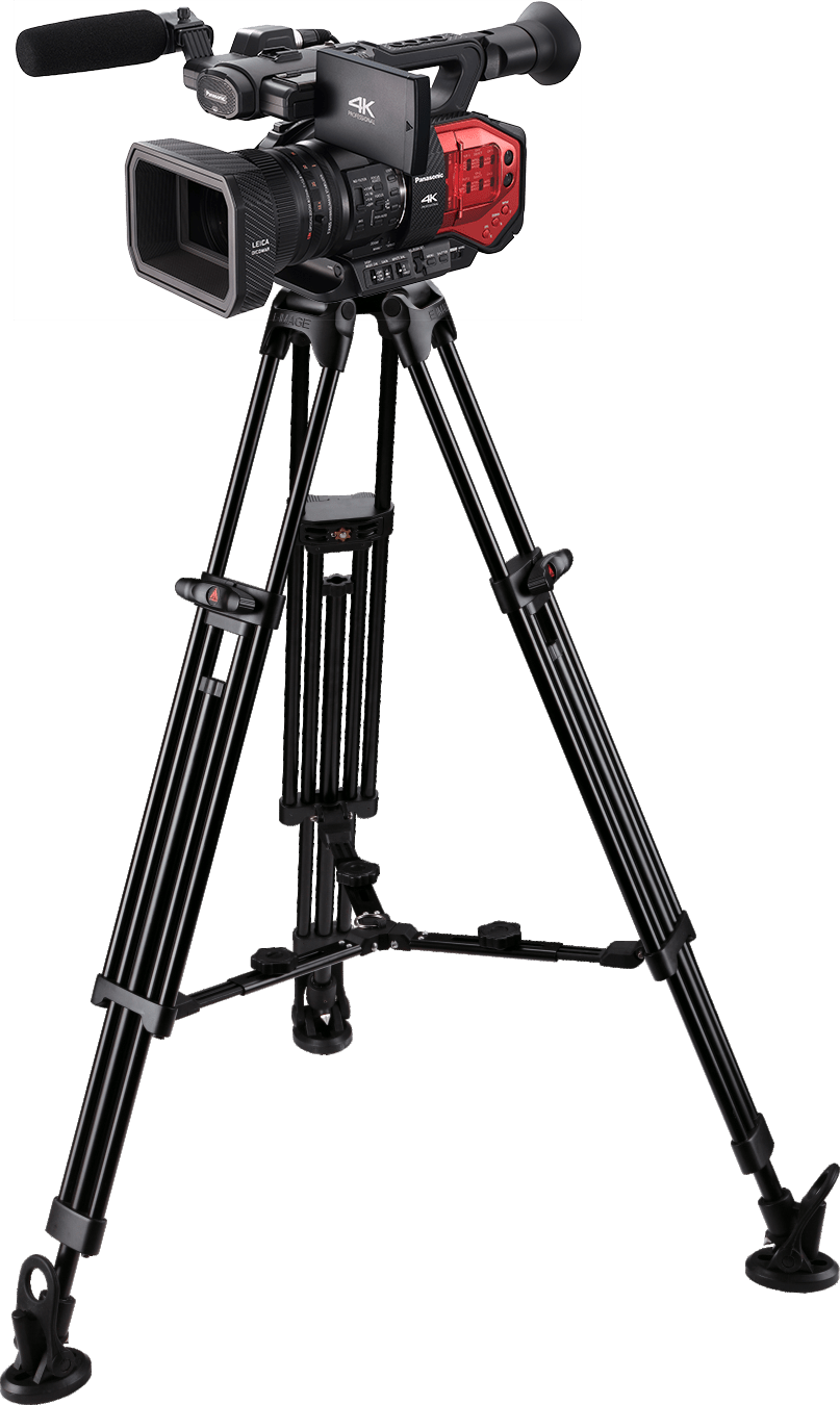 de Lestard Films & Insights, LLC