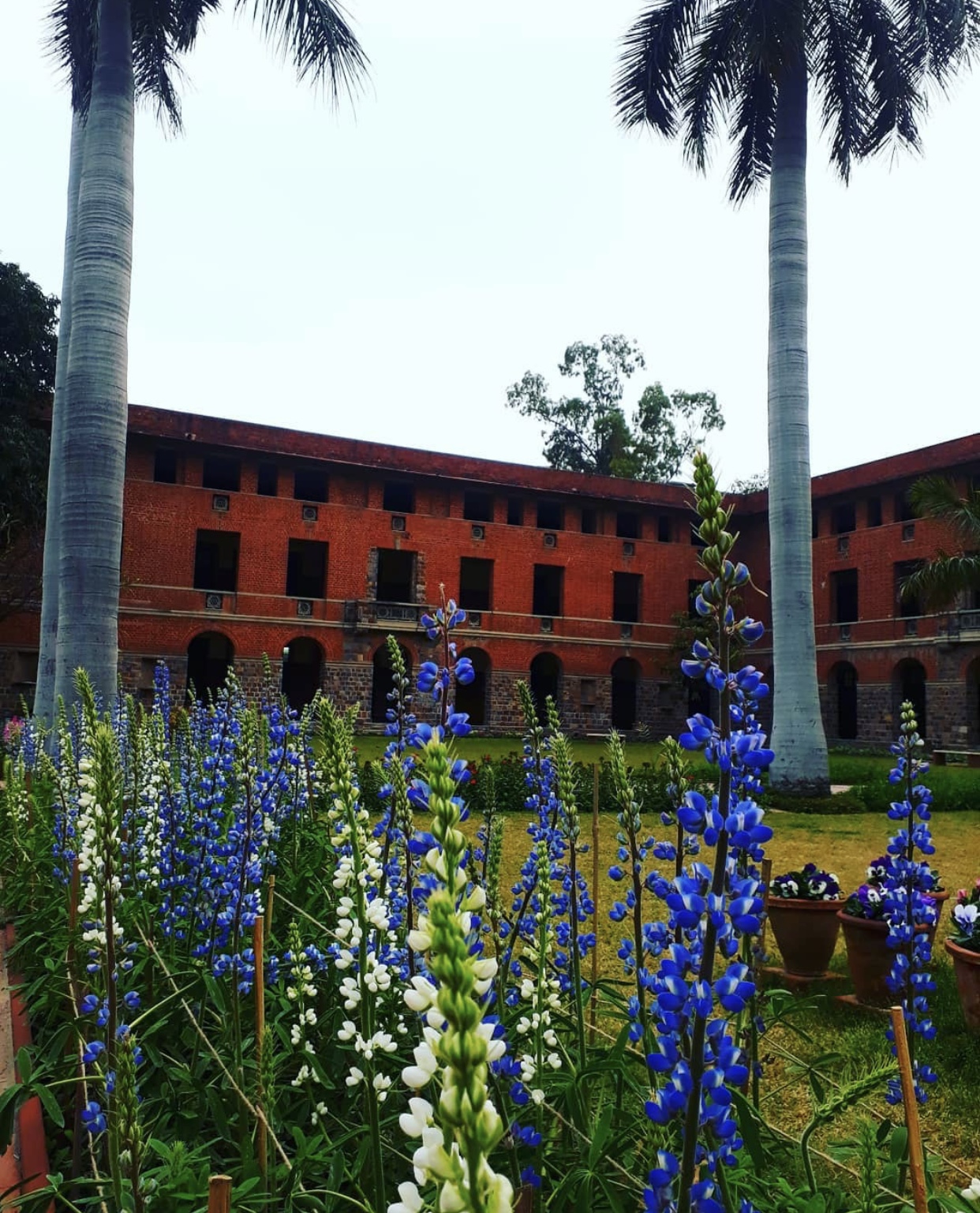 History of Delhi University’s Miranda House Delhipedia