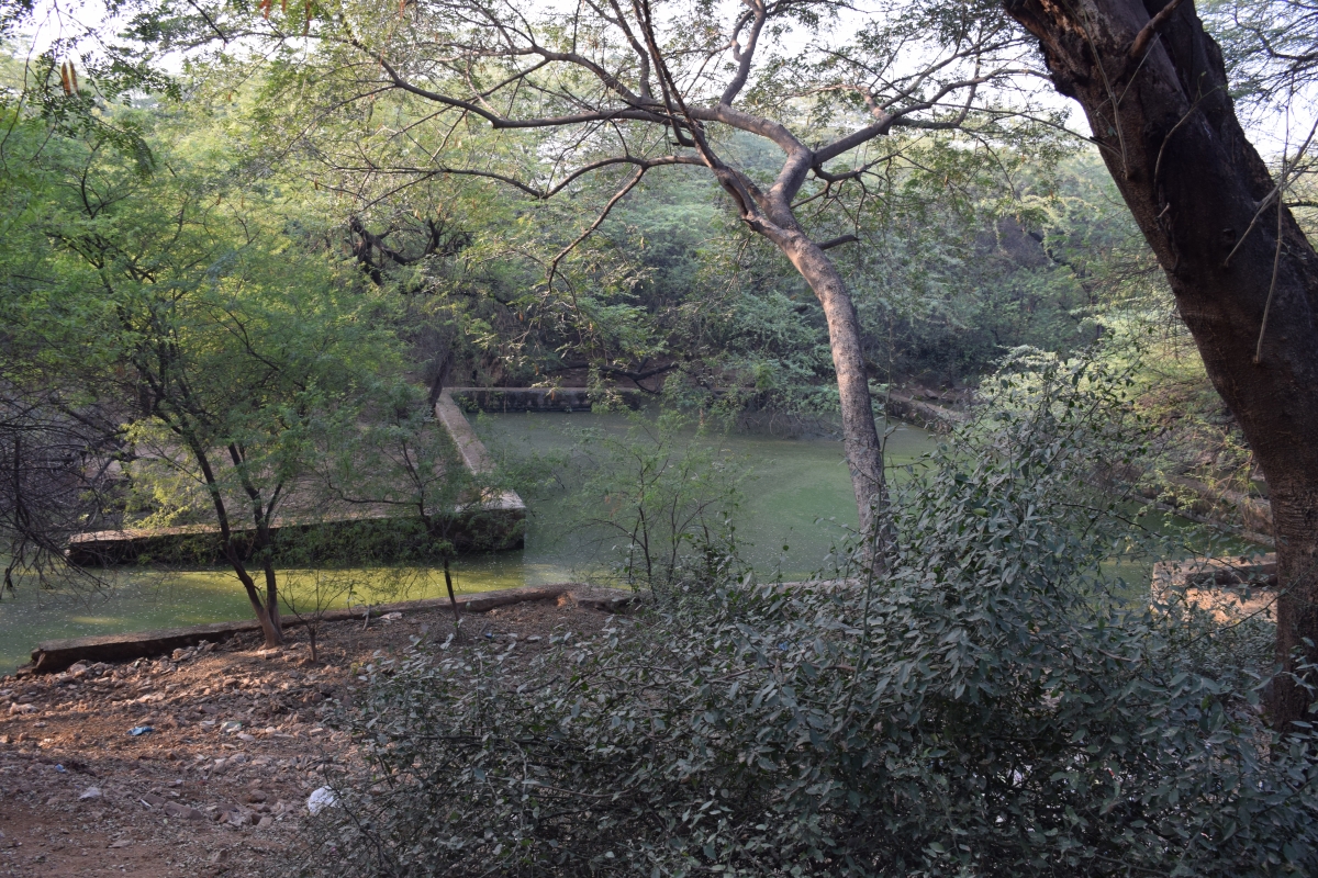 Delhi’s 1000yearold Lake gets a New Lease on Life Delhipedia