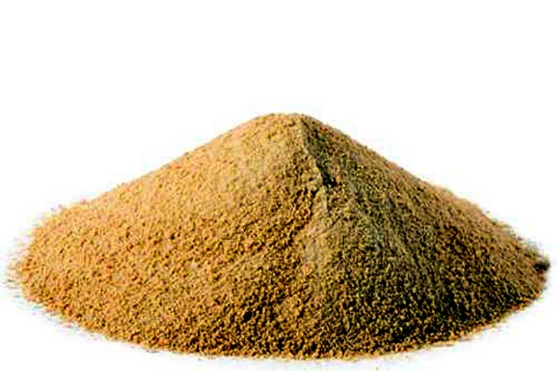 Asafoetida • DELiBERLIN Kochideen & Rezepte