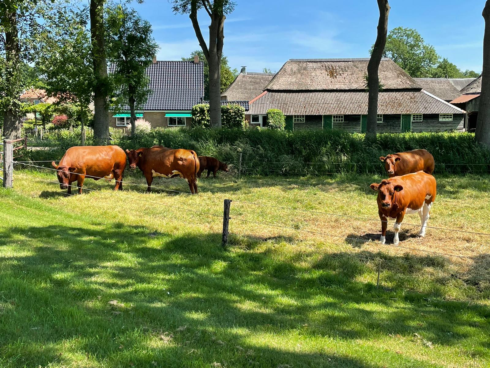 De Lichtmis Restaurant Zwolle A28 Wegrestaurant Pannenkoeken