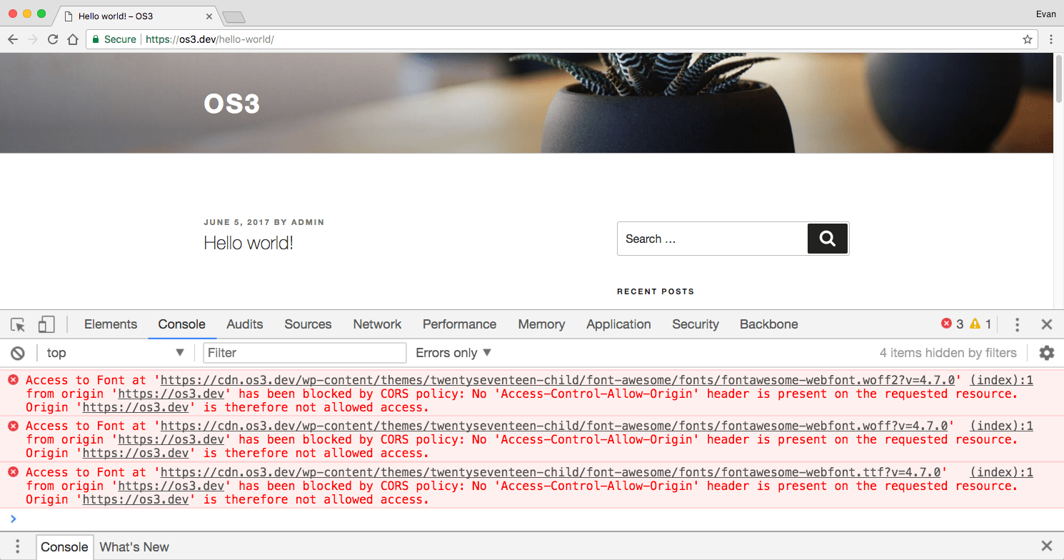 Assets Pull Configure CORS to Resolve  Font Issues
