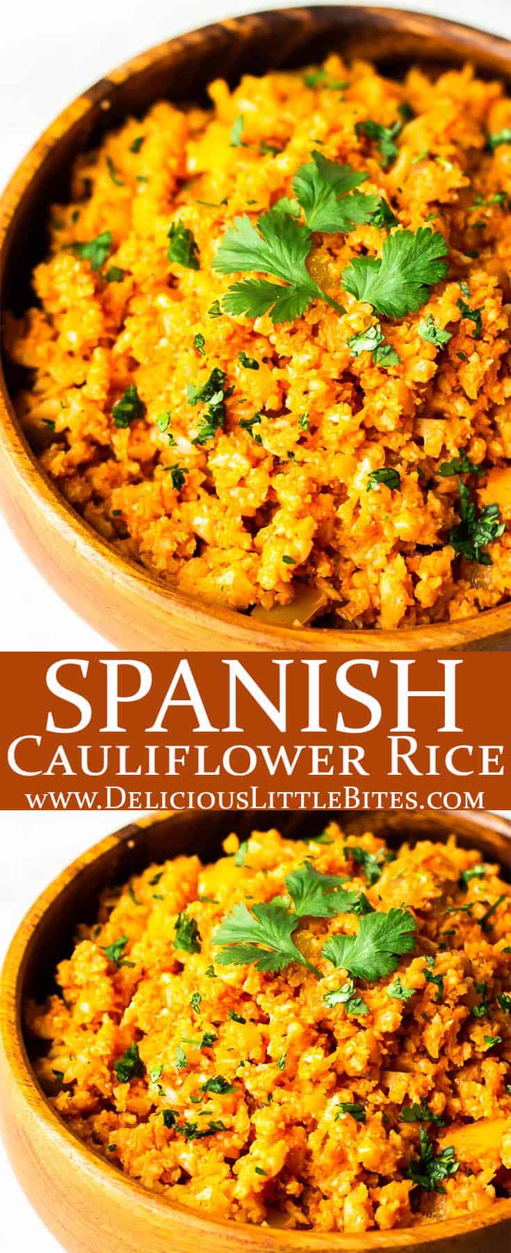 Spanish Cauliflower Rice Delicious Little Bites