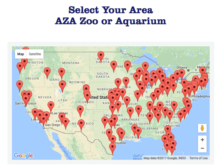 Stonyfield YoKids' Team up with AZA SAFE To Save Endangered Species for World Penquin Day