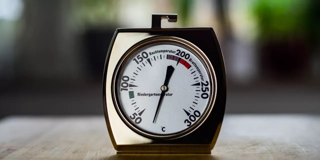 Baking Precision A Comprehensive Guide to Oven Thermometers