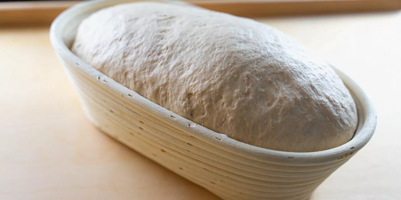 Sourdough Troubleshooting Solving Your Baking Problems