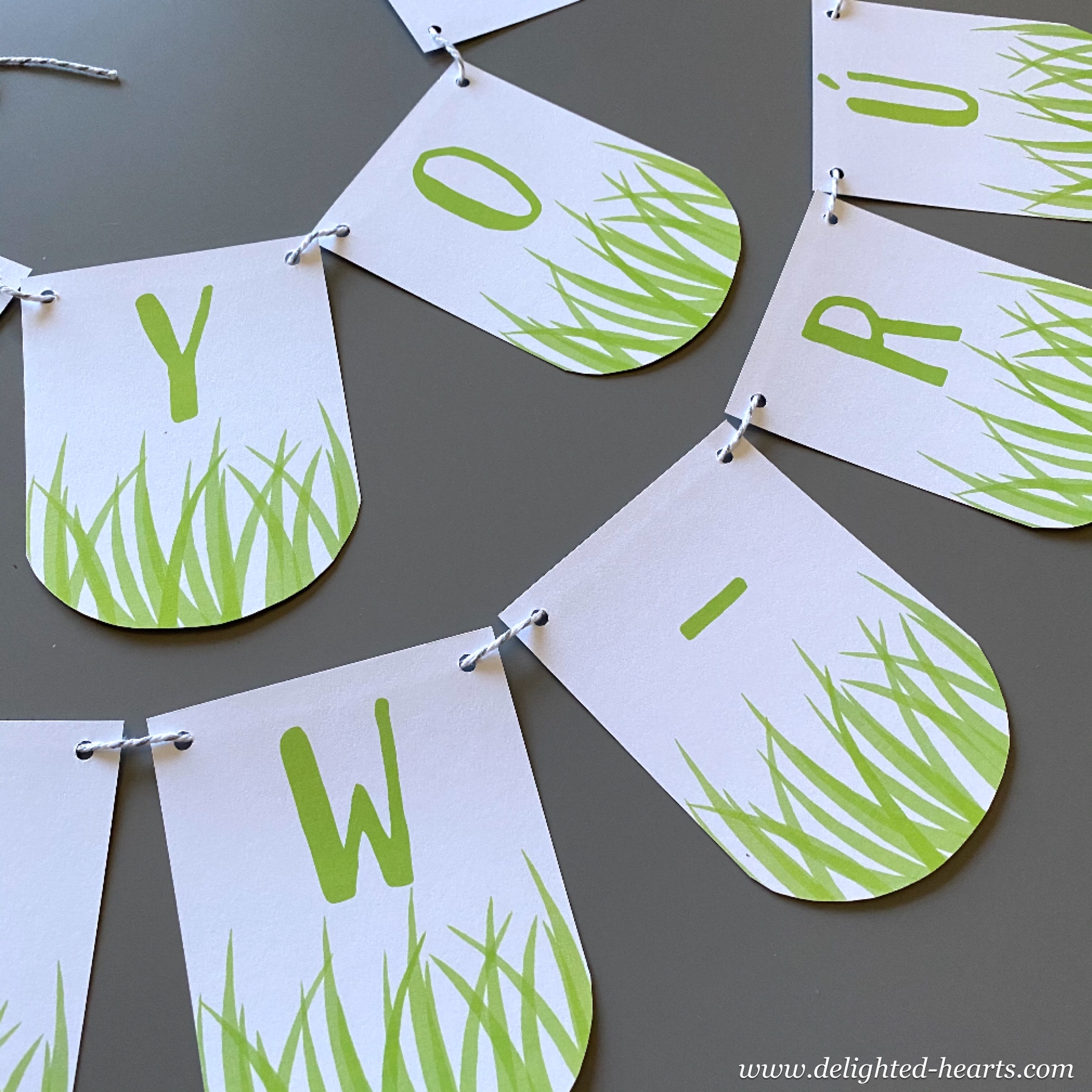 Decorations Delighted Hearts