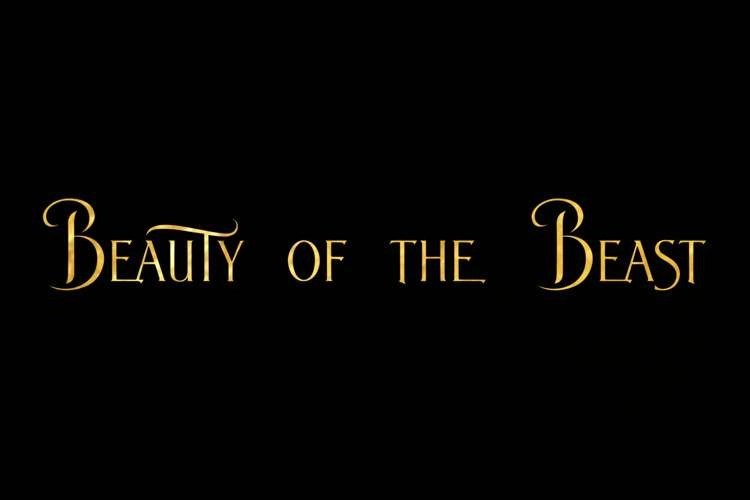 10 Best Fonts for Poetry (Expert Picks)