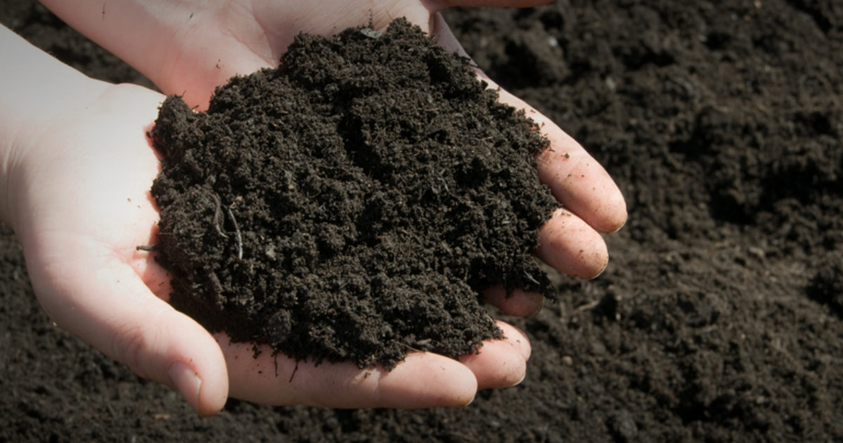 The Difference Between Topsoil and Compost Delightfully DIY Find a