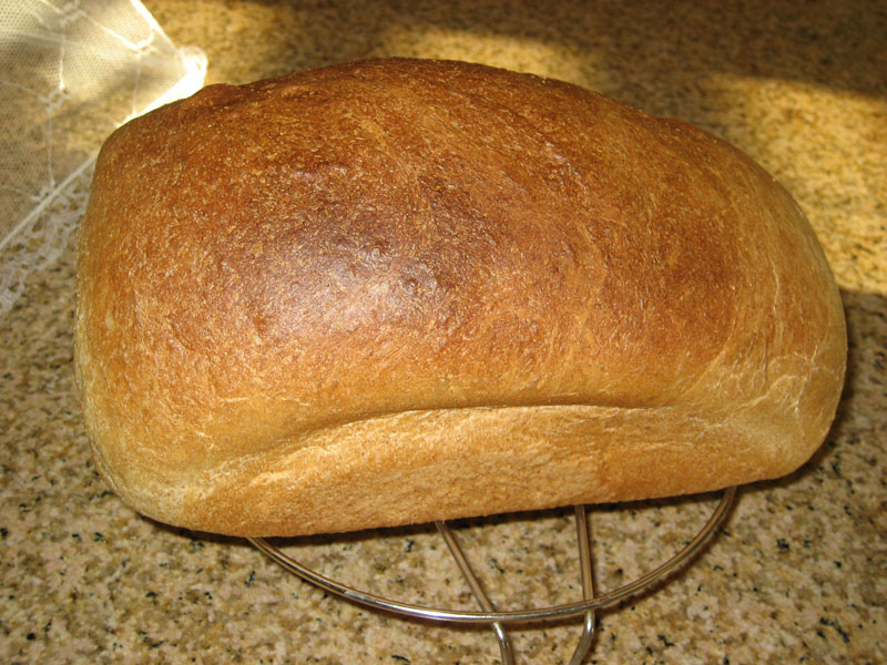 Dairy Free Wheat Bread SUCCESS! Delightful Taste Buds