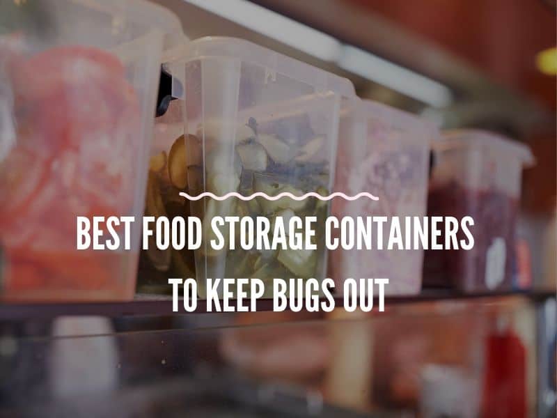 Best Food Storage Containers to Keep Bugs Out Delight Jar