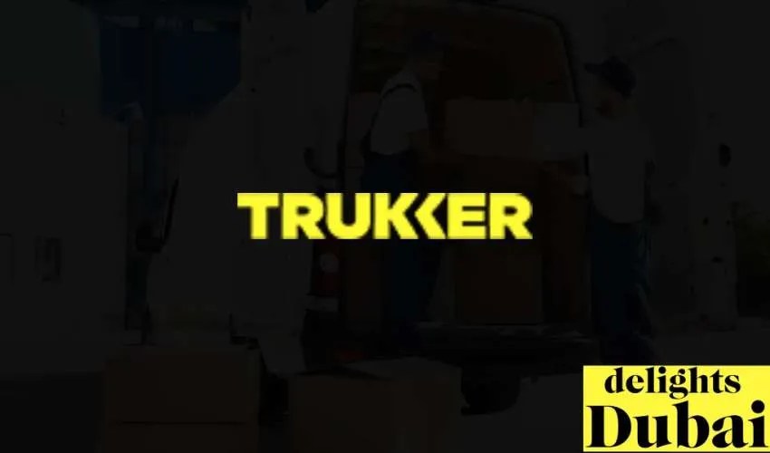 Top 10 Moving Companies in Dubai Delights Dubai (Updated)