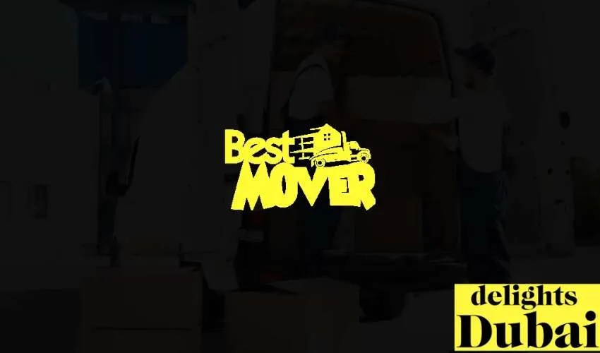 Top 10 Moving Companies in Dubai Delights Dubai (Updated)