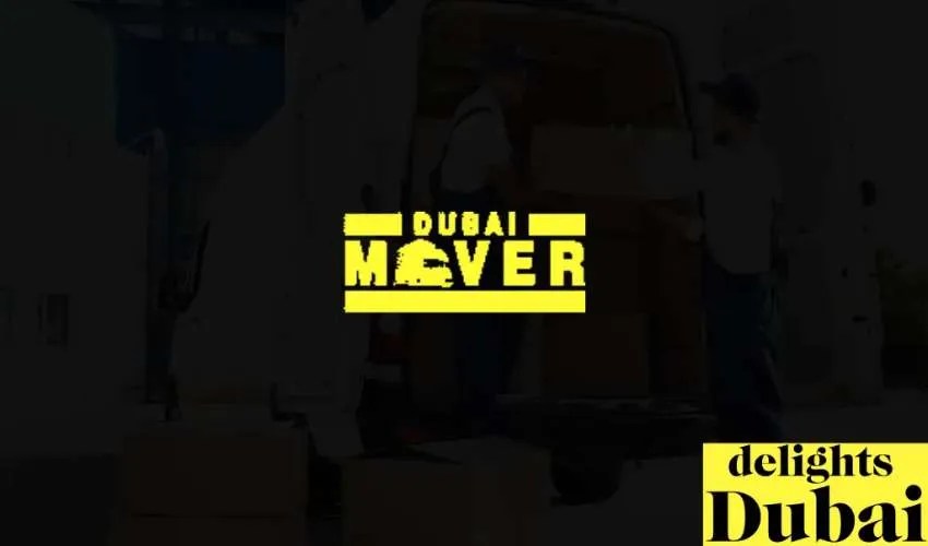 Top 10 Moving Companies in Dubai Delights Dubai (Updated)