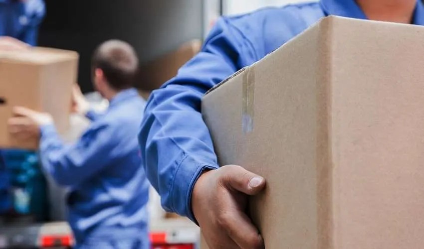 Top 10 Moving Companies in Dubai Delights Dubai (Updated)