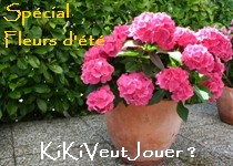 Kikiveutjouer Special Fleurs D Ete Delimoon