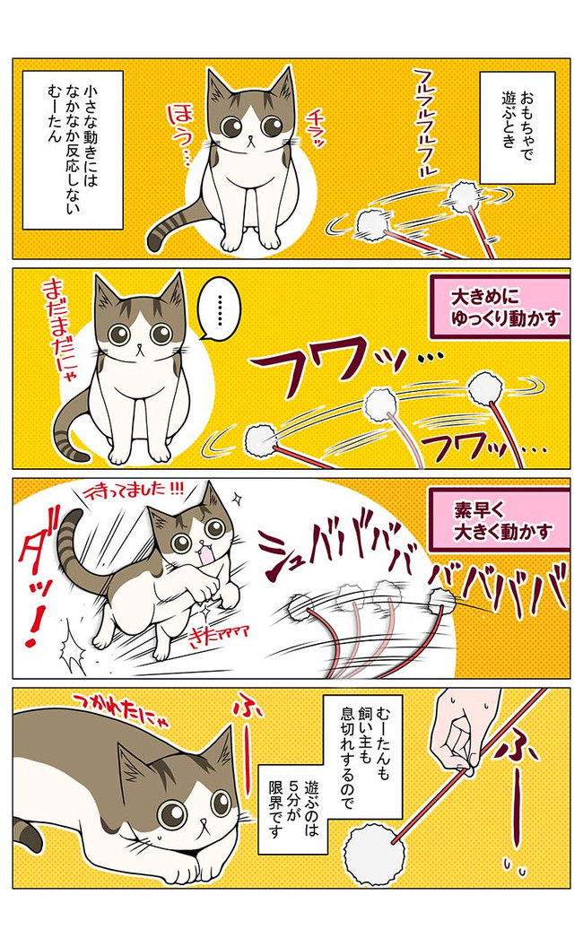 猫との暮らしを始めてみた 3 第250話 激しいのがお好き / Yana.Y ニコニコ漫画
