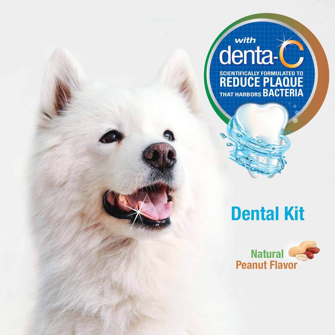 Nylabone Advanced Oral Care Natural Dog Dental Kit, Adult Dog, Peanut