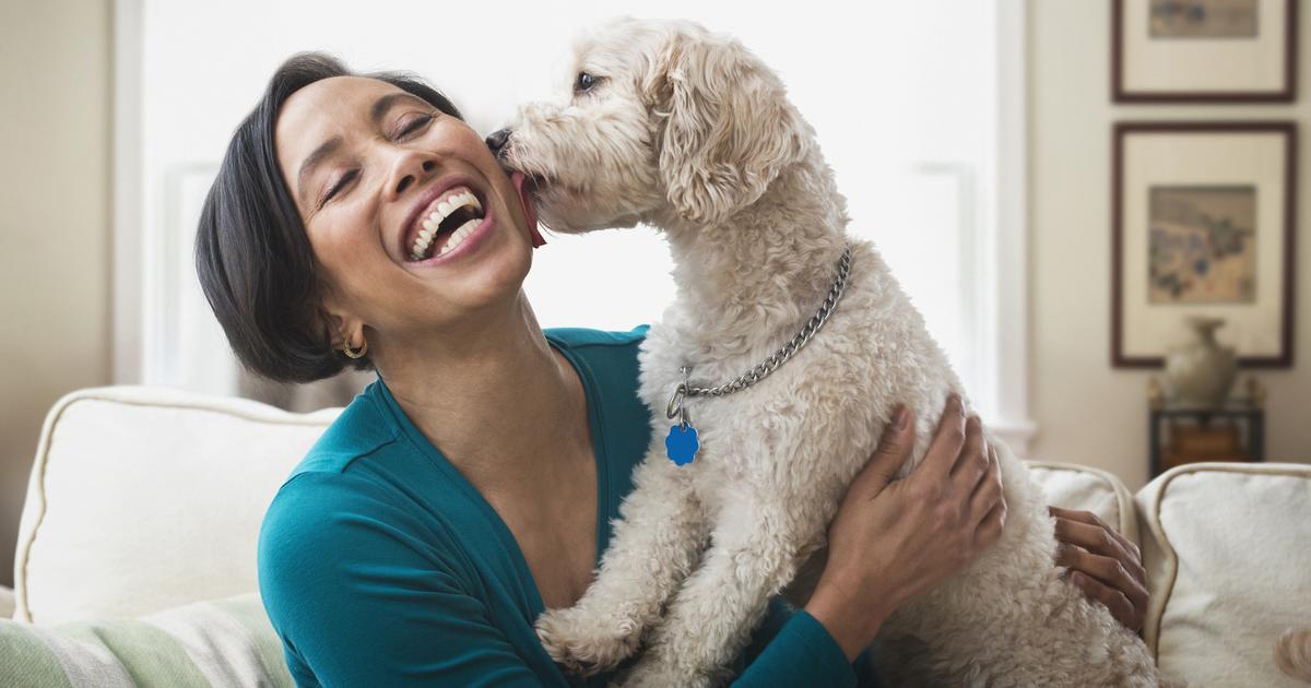 Insurance for Dogs Allstate