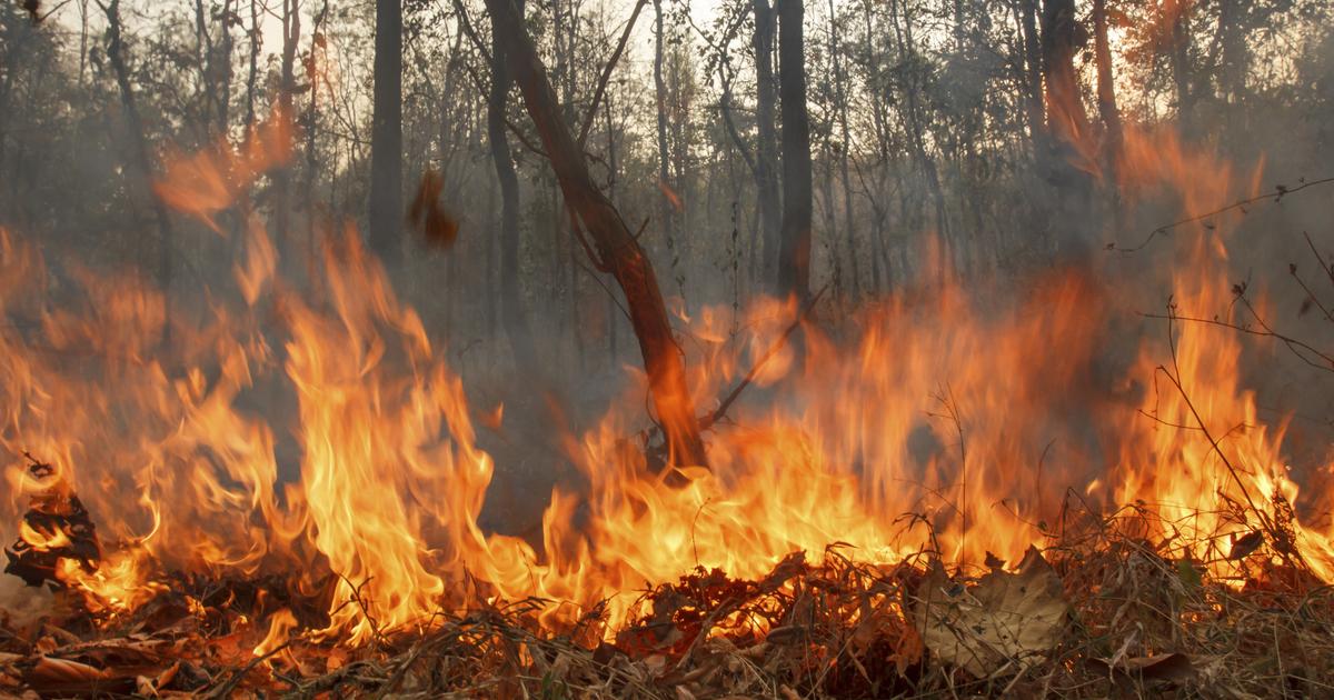 Does Homeowners Insurance Cover Wildfires? Allstate