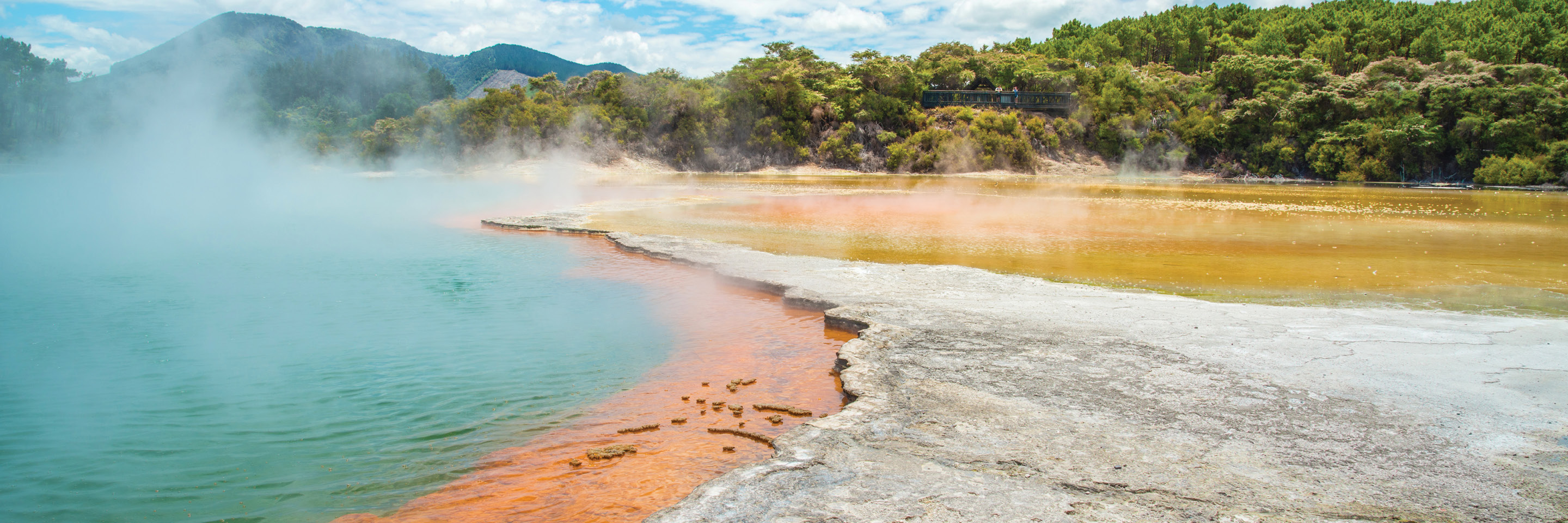 Travel Package to New Zealand Globus®
