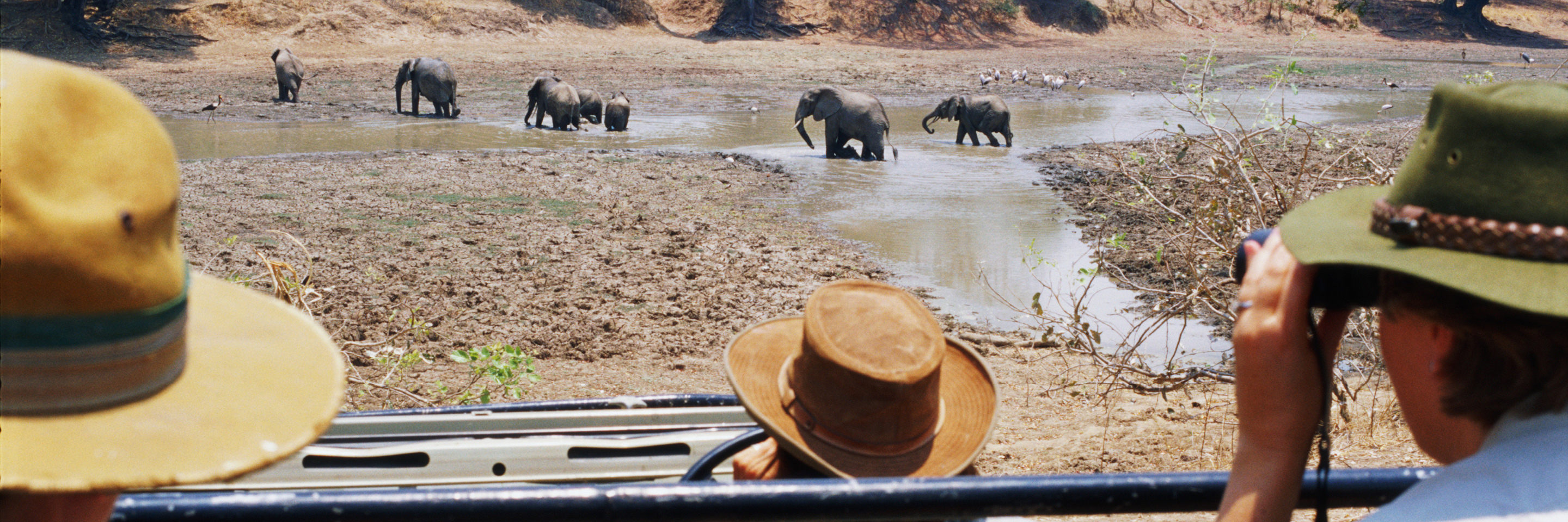 Globus family of brands Animal Welfare Policy